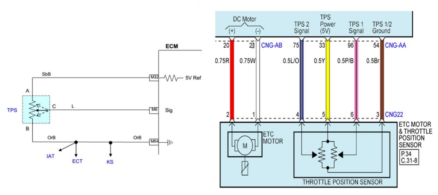 Throttle position sensor
